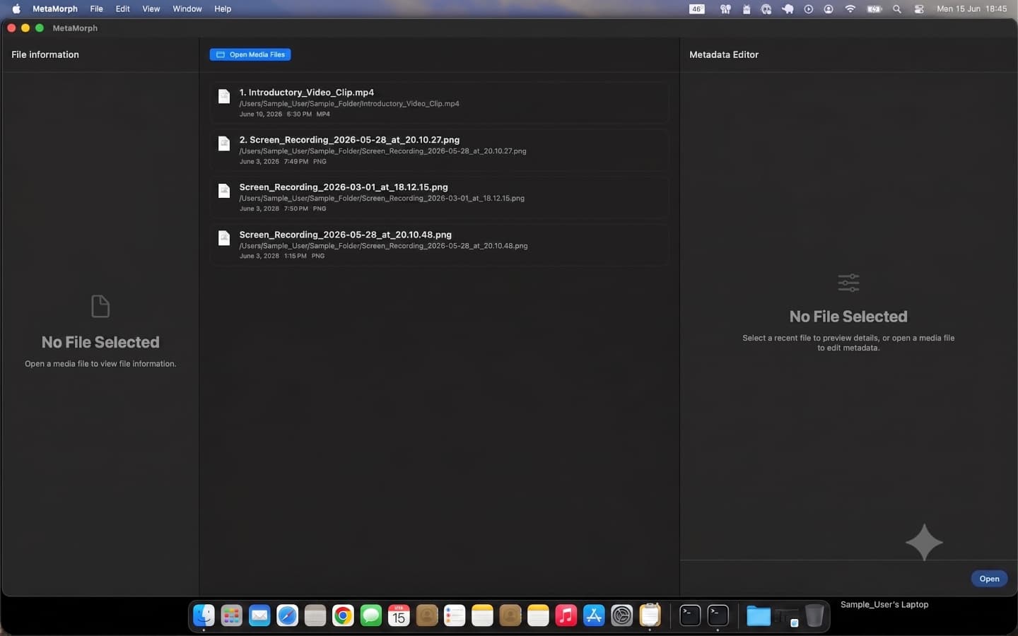 MetaMorph Media file browser listing recent video and image files